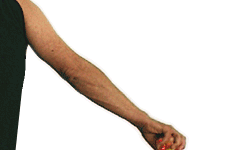 4.gif