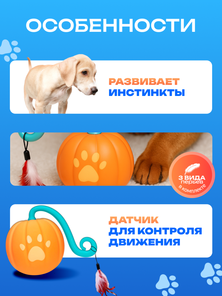 6930878778500 3.png