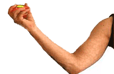 5.gif
