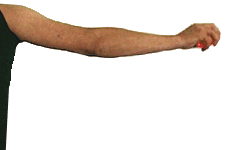 ezgif.com-crop.gif