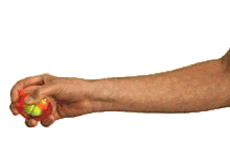 3_3.gif
