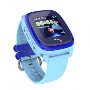 Купить CARCAM GW400S Blue