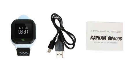 Купить CARCAM GW500S (голубые)