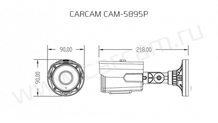 Купить IP камера видеонаблюдения CARCAM CAM-5895P
