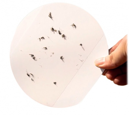 Купить Фумигатор Xiaomi Bcase Square Sticky Trap Mosquito Killer Green (DSHJ-S-2006)