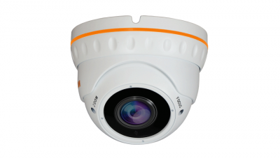 Купить IP камера видеонаблюдения CARCAM CAM-2890VPSD