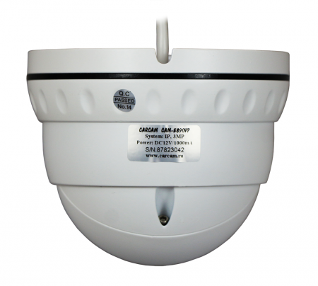 Купить IP камера видеонаблюдения CARCAM CAM-5890P