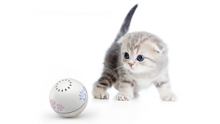 Купить Игрушка для кошки Xiaomi Petoneer Pet Smart Companion Ball