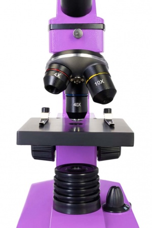 Купить (RU) Микроскоп Levenhuk Rainbow 2L PLUS Amethyst\Аметист