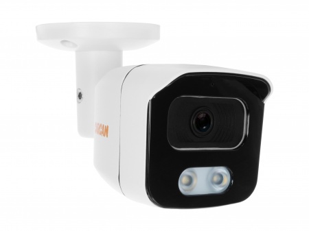 Купить CARCAM CAM-2662PL
