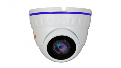 Купить IP камера видеонаблюдения CARCAM CAM-1889P
