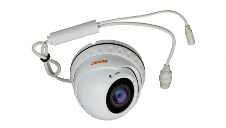 Купить IP камера видеонаблюдения CARCAM CAM-4890VPSD