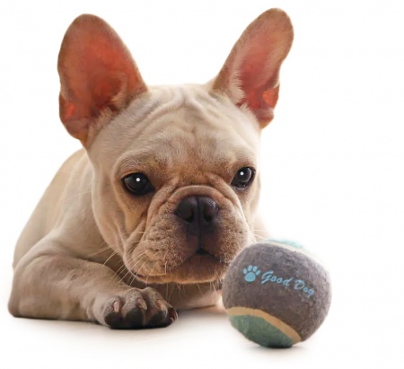 Купить Набор игрушек Xiaomi Youpin Little Beast Star Dog (XT32-5001)