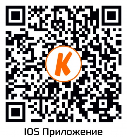 Купить IP камера видеонаблюдения CARCAM CAM-3890VP