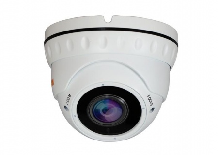 Купить IP камера видеонаблюдения CARCAM CAM-5890P