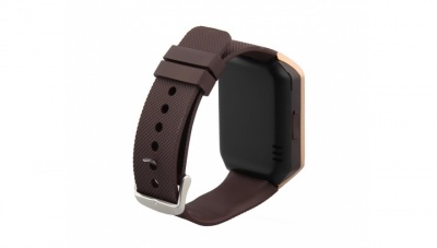 Купить CarCam SMART WATCH DZ09 2019 GOLD
