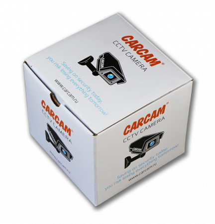 Купить IP камера видеонаблюдения CARCAM CAM-3890VP
