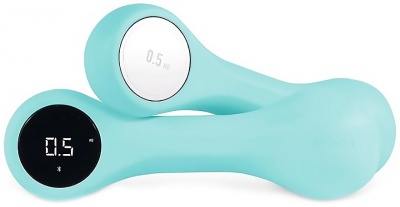 Купить Xiaomi Move It Beat 0.5 kg Light Green (MVDB0011)