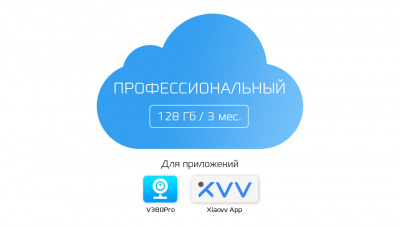 Купить Тариф ПРОФЕССИОНАЛЬНЫЙ - 128Gb 3 мес. V380Pro / Xiaovv App