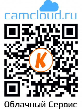 Купить IP камера видеонаблюдения CARCAM CAM-3890VP