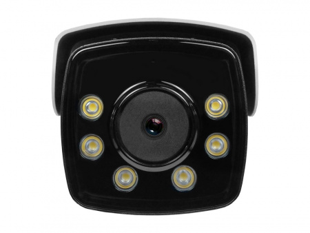 Купить CARCAM CAM-8685PSDR