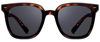 Купить Xiaomi Mijia Folding Polarized Sunglasses (MJTA01LM) Tortoiseshell Brown