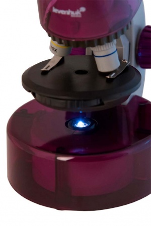Купить (RU) Микроскоп Levenhuk LabZZ M101 Amethyst\Аметист