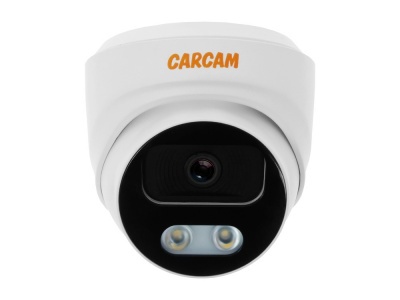 Купить CARCAM CAM-2866PL