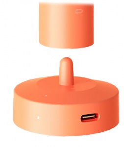 Купить Электрическая зубная щетка Xiaomi ShowSee D2 Sonic Toothbrush Orange Travel Box (D2-P/DHZ-P)