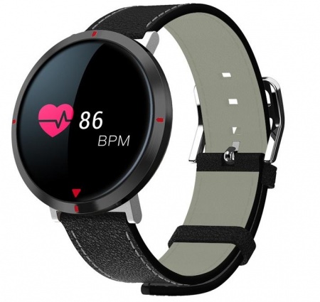 Купить CARCAM Smart Watch S2 черная кожа