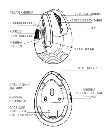 Купить Saiggi Wireless Vertical Mouse (TM-023) White