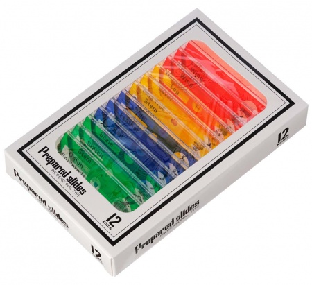 Купить Микроскоп цифровой Levenhuk Rainbow DM500 LCD