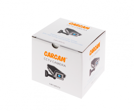 Купить IP камера видеонаблюдения CARCAM CAM-4897MPSD