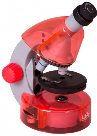 Купить (RU) Микроскоп Levenhuk LabZZ M101 Orange\Апельсин