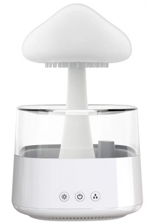 Купить Увлажнитель с подстветкой Max Line Aroma Diffuser Rain Cloud Humidifier J026E White