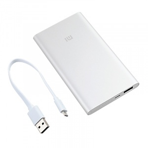 Купить Аккумулятор Xiaomi Mi Power Bank 2 5000mAh Silver (PLM10ZM)
