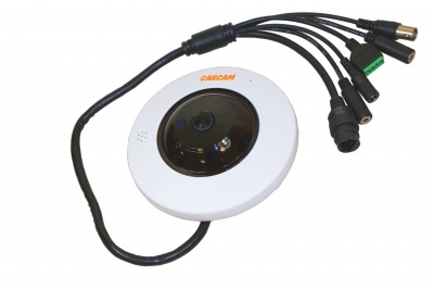 Купить IP камера видеонаблюдения CARCAM CAM-6360PSD