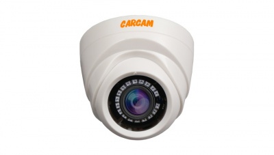 Купить IP камера видеонаблюдения CARCAM CAM-4888P