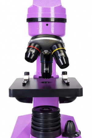 Купить (RU) Микроскоп Levenhuk Rainbow 2L Amethyst\Аметист