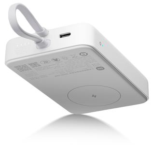 Купить Xiaomi Magnetic Power Bank with Built in Cable 10000mAh 33W (WPB1007MI) White