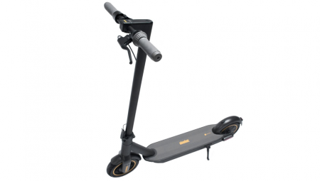 Купить Электросамокат Ninebot KickScooter MAX G30P