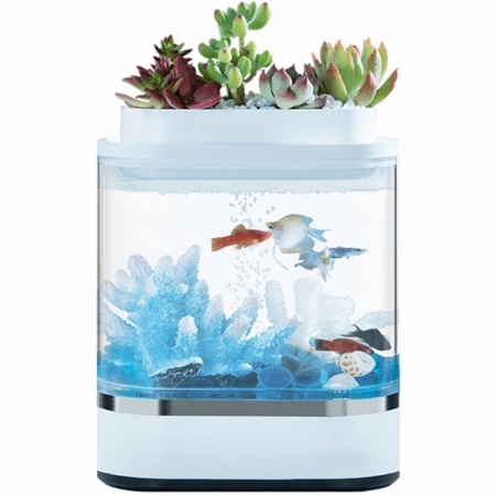 Купить Аква-ферма Xiaomi Descriptive Geometry Mini Lazy Fish Tank (HF-JHYG 005)