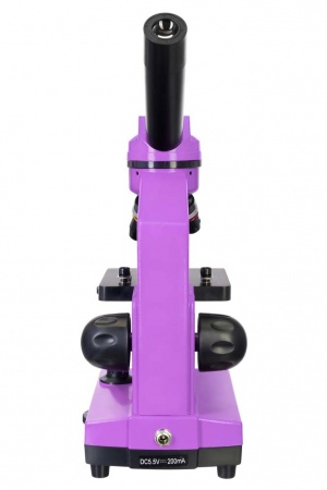 Купить (RU) Микроскоп Levenhuk Rainbow 2L Amethyst\Аметист