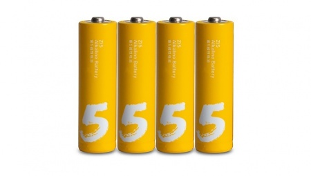 Купить Батарейки алкалиновые Xiaomi ZMI Rainbow ZI5 AA524 (24шт. АА)