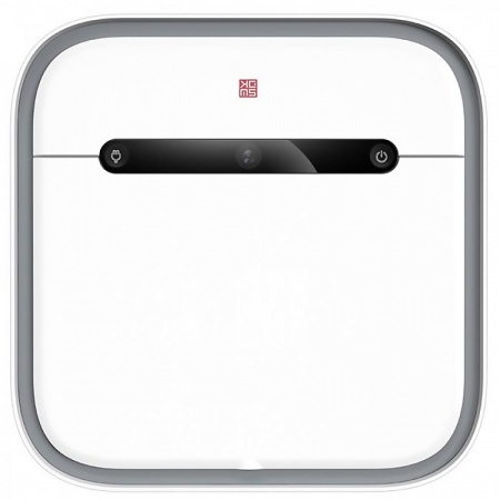 Купить Робот-полотёр Xiaomi SWDK Smart Cleaning Machine (ZDG300)