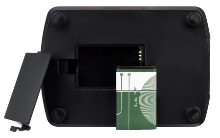 Купить Микроскоп цифровой Levenhuk DTX 500 LCD