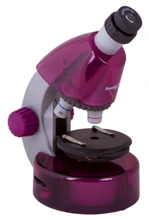 Купить (RU) Микроскоп Levenhuk LabZZ M101 Amethyst\Аметист
