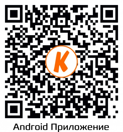 Купить IP камера видеонаблюдения CARCAM CAM-2892P