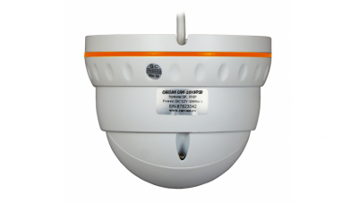 Купить IP камера видеонаблюдения CARCAM CAM-2890VPSD