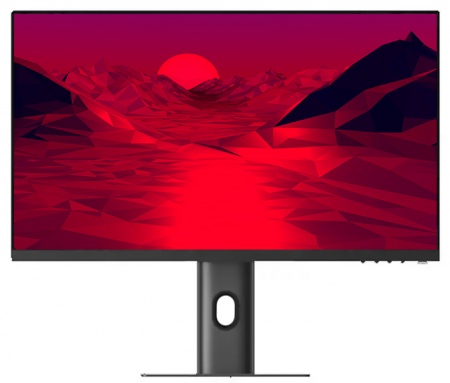 Купить Монитор Xiaomi Mi Fast LCD 24,5" 240Hz (XMMNT245HF2)